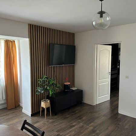 Cozy Apartment Baia Mare Luaran gambar