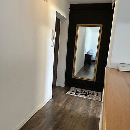 Cozy Apartment Baia Mare Luaran gambar
