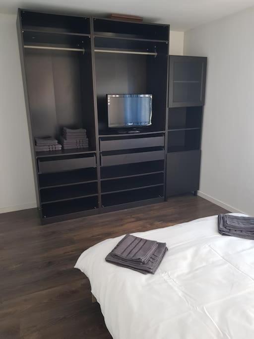 Cozy Apartment Baia Mare Luaran gambar